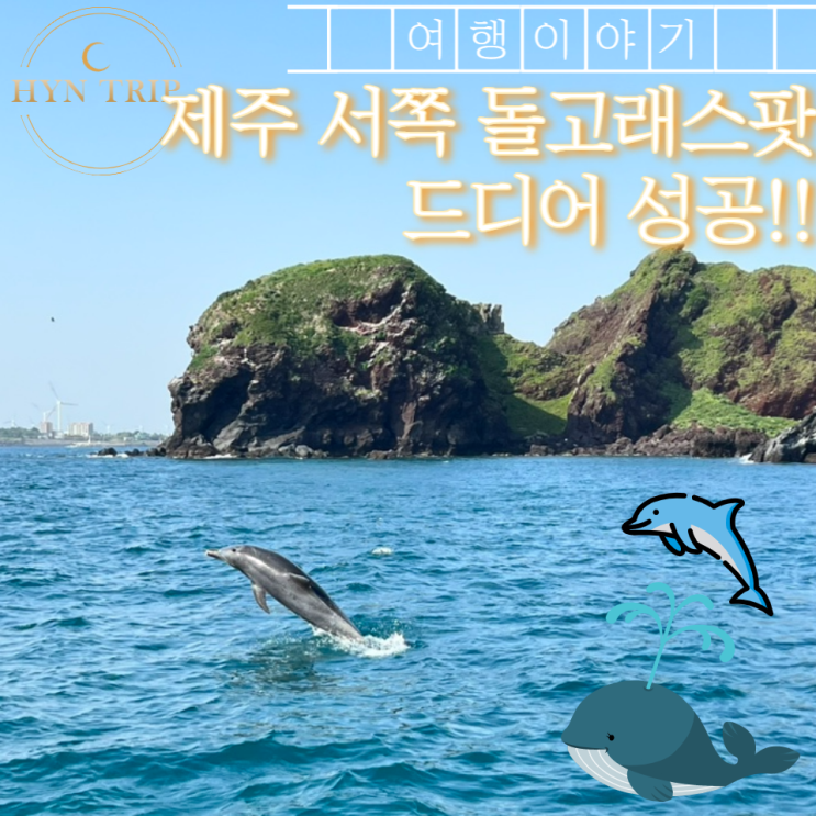  제주 서쪽 차귀도 돌고래 투어 스팟 심봤다!