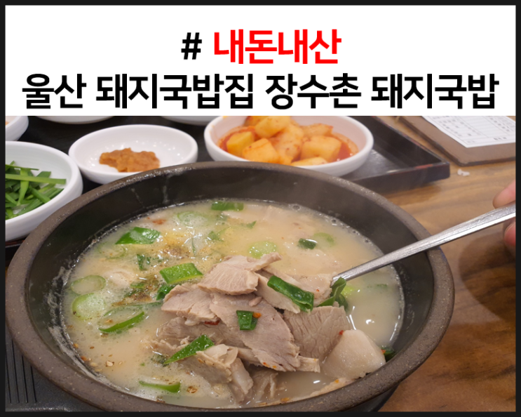  [내돈내산] 울산 장수촌 돼지국밥 리뷰