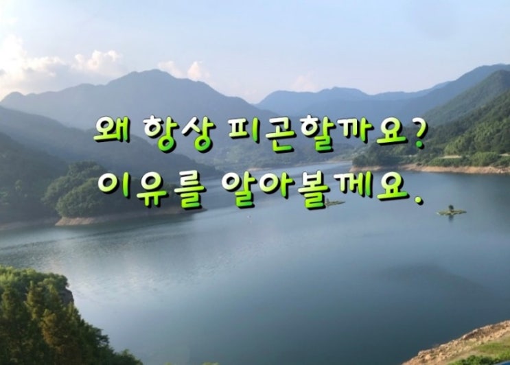 항상 피곤한 이유 알아볼께요! 항상 피곤한 이유 알아볼께요!