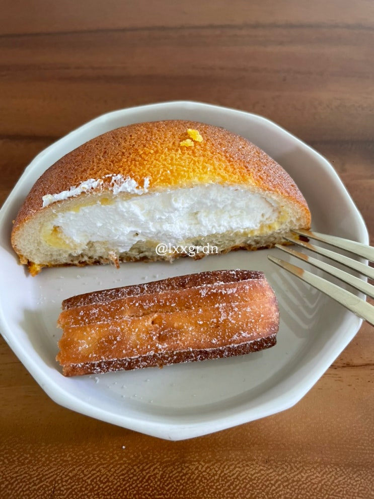  기초반 마지막 수업 :: 배영 배우게 해주세요 c