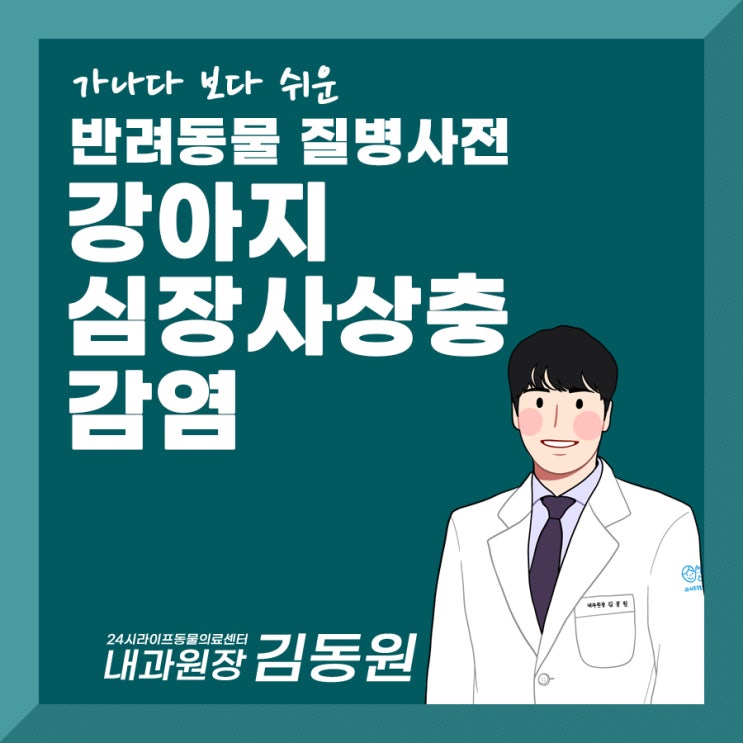 강아지 심장사상충검사부터 증상과 치료방법 알아보기 : 대구심장동물병원