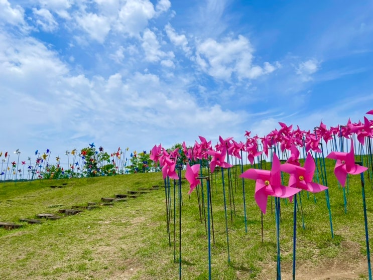 DMZ 파주 당일치기 나들이 임진각 평화누리공원 평화랜드 서울 근교 드라이브 코스