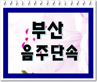  부산 음주단속이 되었다면