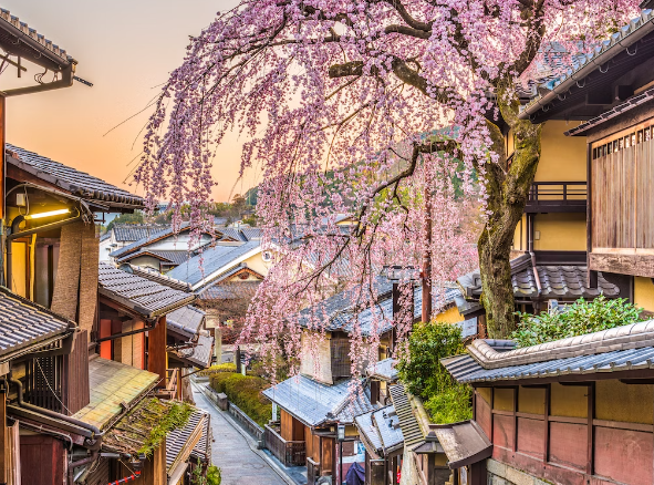 풍부한 역사, 멋진 사찰, 고요한 풍경, 일본 교토 여행지 베스트 리스트