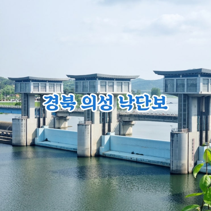  경북 의성가볼만한곳 낙단보 feat 낙동강8보