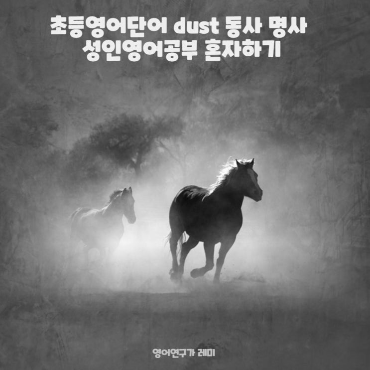 초등영어단어 dust 동사 명사 성인영어공부 혼자하기