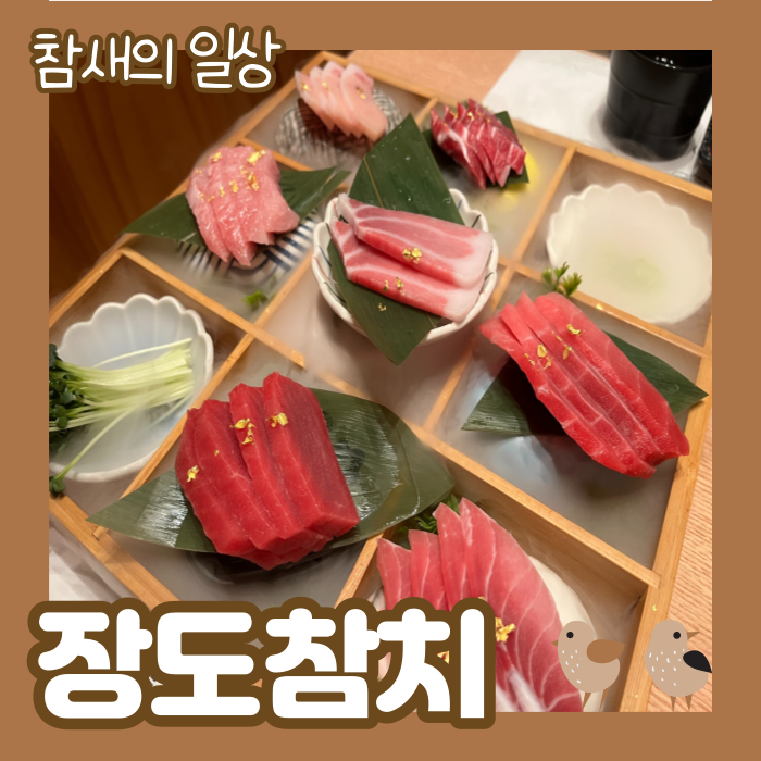  평택 소사벌 무한리필 참치맛집 '장도참치' 실버먹방 후기
