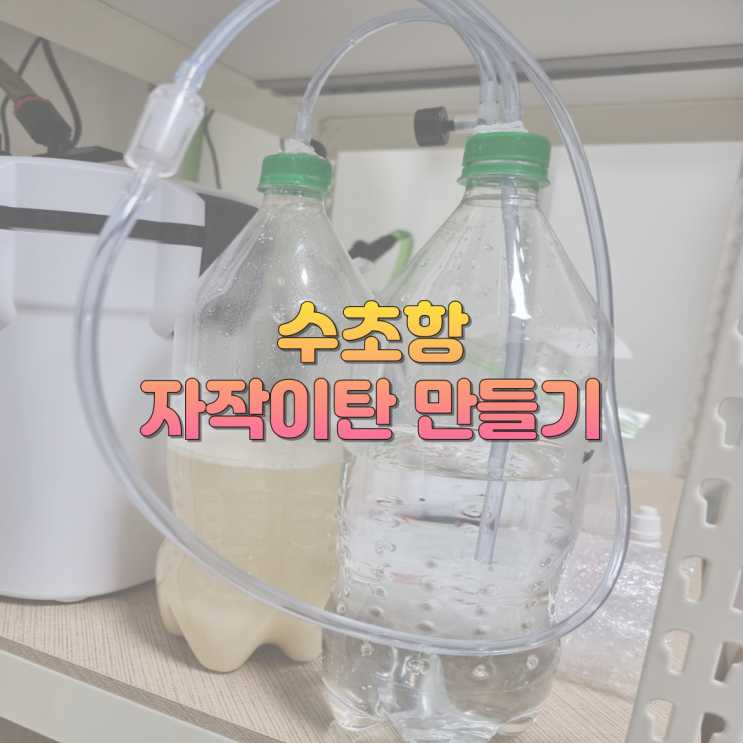 우당탕탕 수초항 자작이탄 만들기(feat. 자작이탄 만드는법, 막걸리냄새)