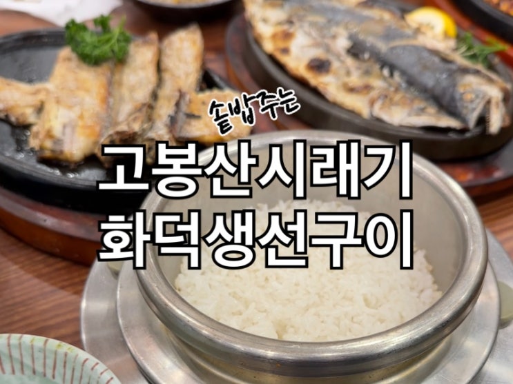  일산 내돈내산 맛집! 고봉산시래기&화덕생선구이 (고양시 중산동)