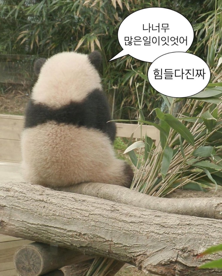 [5월 일상]나너무많은일이 있었어 힘들다진짜 / 동아리 공연... 