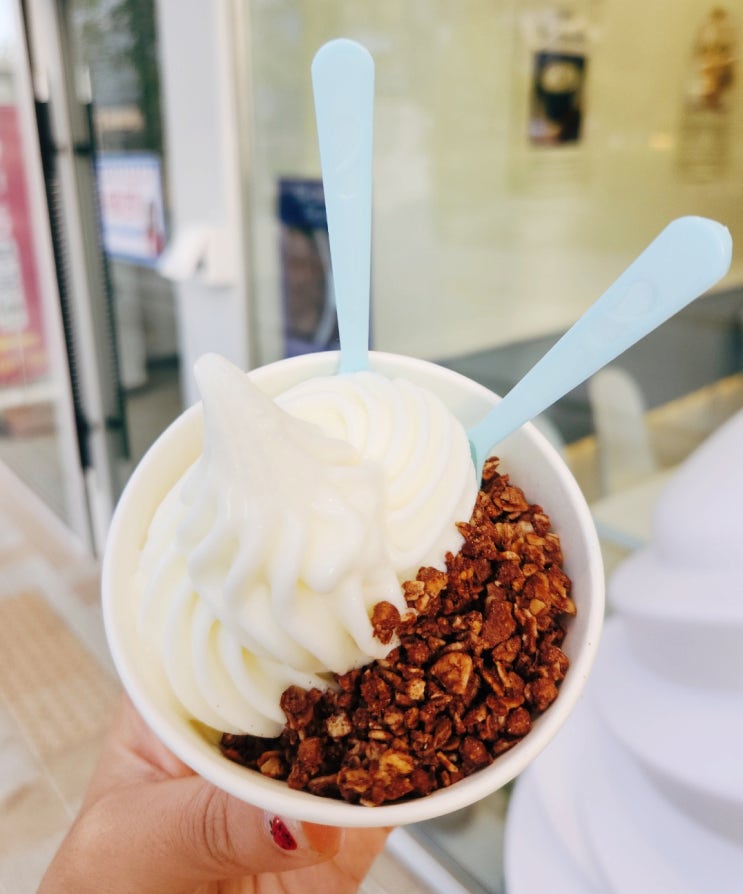  평택 고덕 아이스크림 맛집, 꾸요트 수제그릭요거트 아이스크림 디저트 맛집 후기
