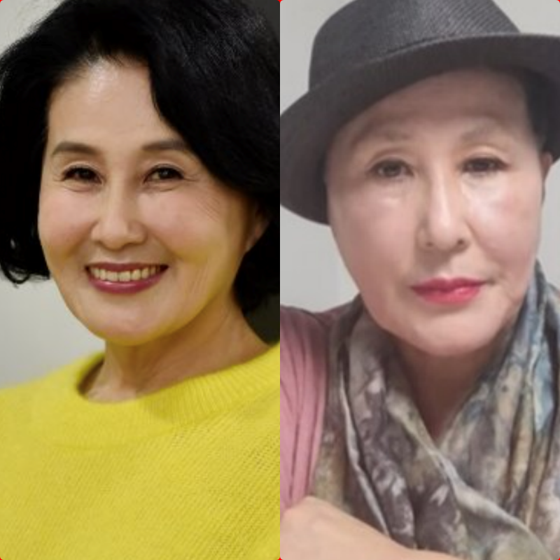 대장암 투병 근황 전여옥 프로필 나이 학력 고향 남편 이상만 자녀 재혼 이혼 논란 sns