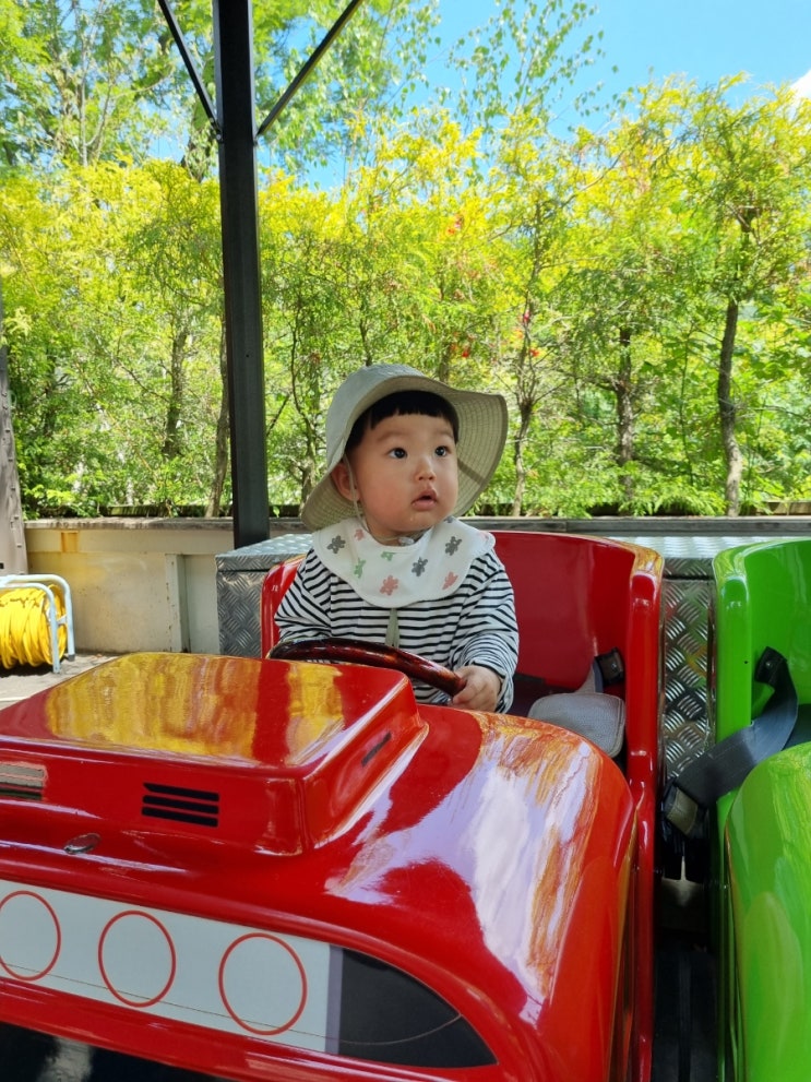  14개월 아이와 함께 대구/청도여행  네이처파크에 다녀오다!!