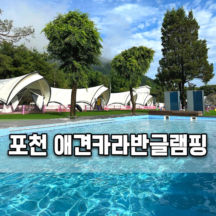  포천 애견카라반 애견동반여행 핫도그342애견카라반글램핑