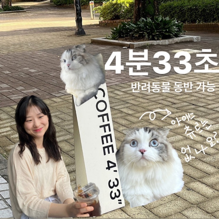  [분당동 카페] 4분 33초, 춘식이와 잠시 앉았다 갈게오