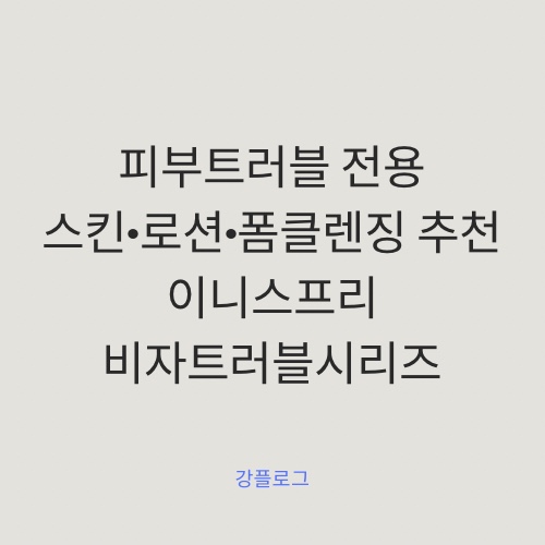  [내돈내산] 이니스프리 / 비자 트러블 스킨 로션 훼이셜폼 리뷰