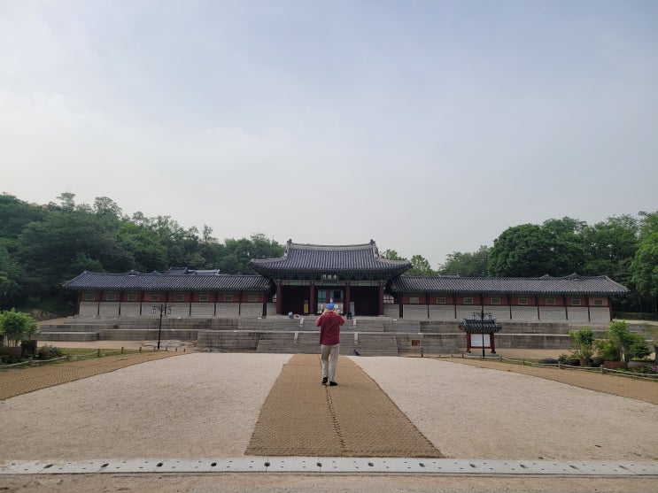  경희궁 숭정전 자정전 주차요금 입장료 관람시간 (서울 5대궁)