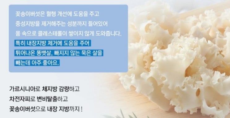  꽃송이버섯효능으로 40대다이어트 준비합니다.
