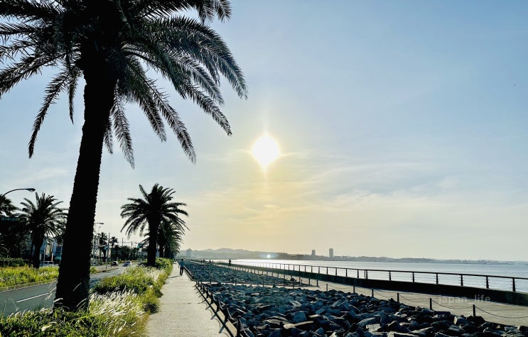  요코스카 당일치기 여행 완벽 가이드. 최고의 여행코스 추천. 요코스카맛집-요코스카등대(관온사키등대)-보드워크-요코스카미술관-자연박물관-전망공원-바다가보이는카페-요코스카온천 横須賀
