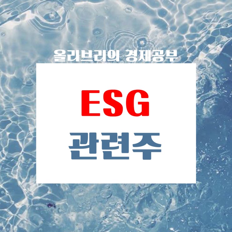  경제공부/2025년 정부 ESG공시 의무화 ESG관련주