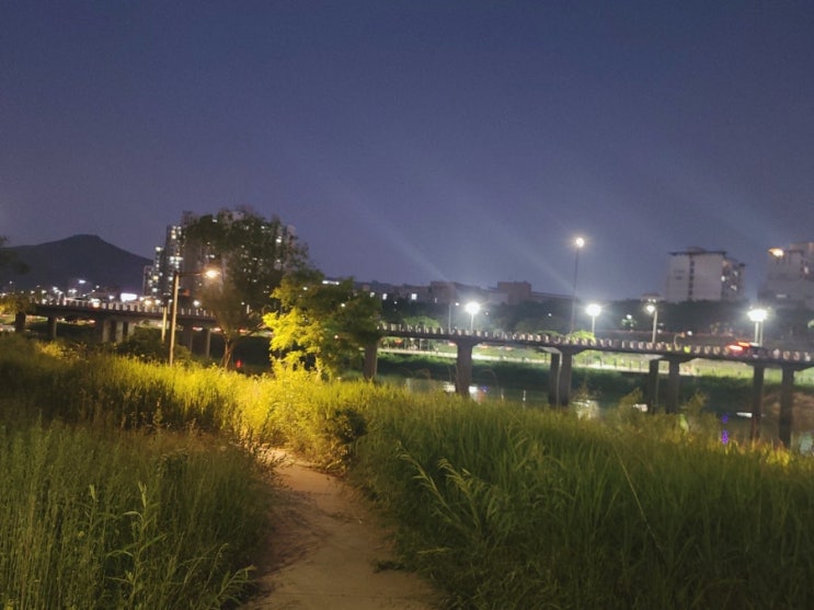  [블챌] 서울 산책길 중랑천