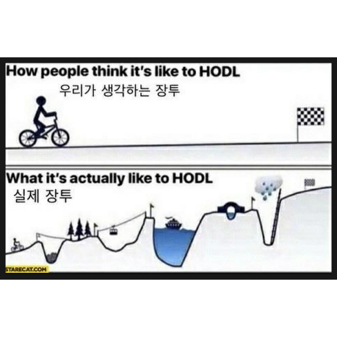  매달 QLD와 비트코인을 적립식 매수하면 어떻게 될까? (장기투자 하는 이유)
