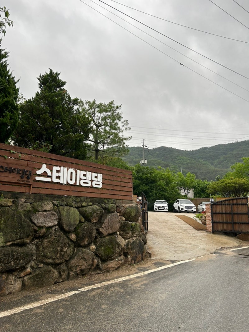 사진 5