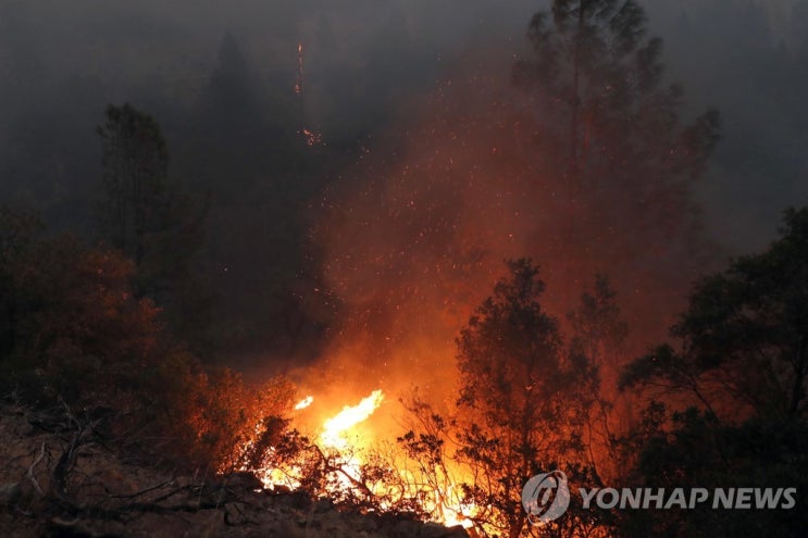 산불 오죽 많이 났으면…美보험사, 캘리포니아서 손해보험 중단 산불 오죽 많이 났으면…美보험사, 캘리포니아서 손해보험 중단