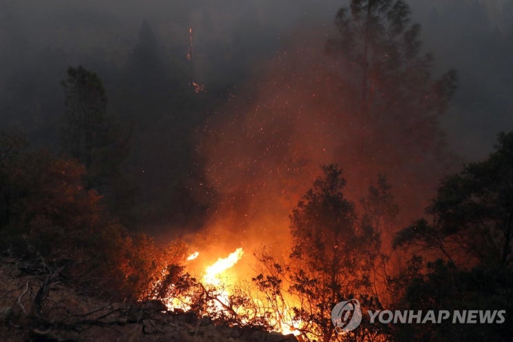 산불 오죽 많이 났으면…美보험사, 캘리포니아서 손해보험 중단