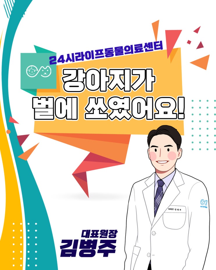 산책하다 강아지가 벌에 쏘였어요 강아지 벌쏘임 증상 조심하세요 산책하다 강아지가 벌에 쏘였어요 강아지 벌쏘임 증상 조심하세요