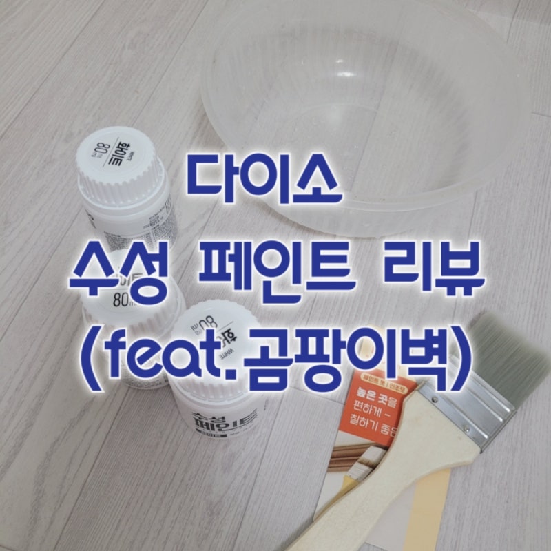 [리뷰] 곰팡이 핀 벽에 다이소 페인트 바른 후기
