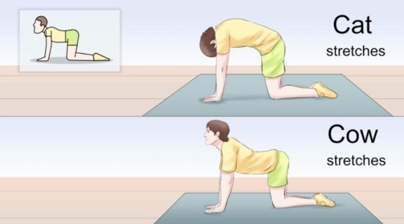 강변역가꾸다필라테스]다이어트도움 캣카우스트레칭(cat-cow stretch),등허리목통증개선👋 : 네이버 블로그