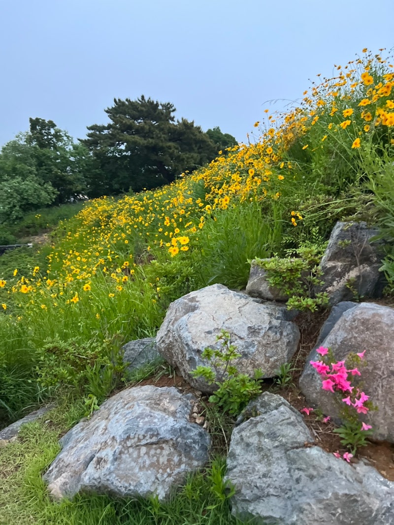여수 예술의섬 장도 입장료, 주차장, 입장가능시간대 및 걸어서 한바퀴 코스시간 : 네이버 블로그