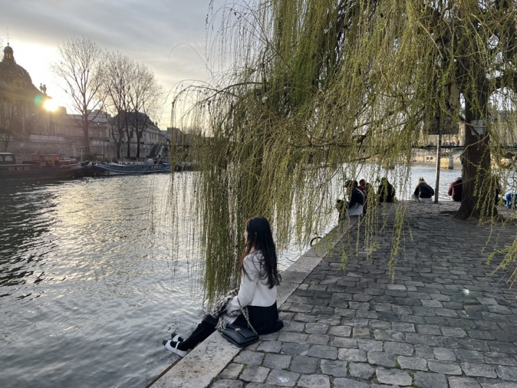  [파리 day3] 베르갈랑 광장(Saule Pleureur de la Pointe)/ 퐁뇌프 다리(Pont Neuf)