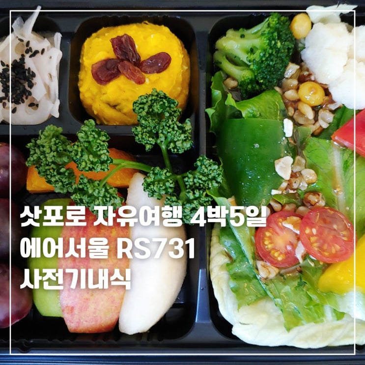  삿포로 자유여행 4박 5일 인천 > 신치토세 에어서울 RS731 사전기내식