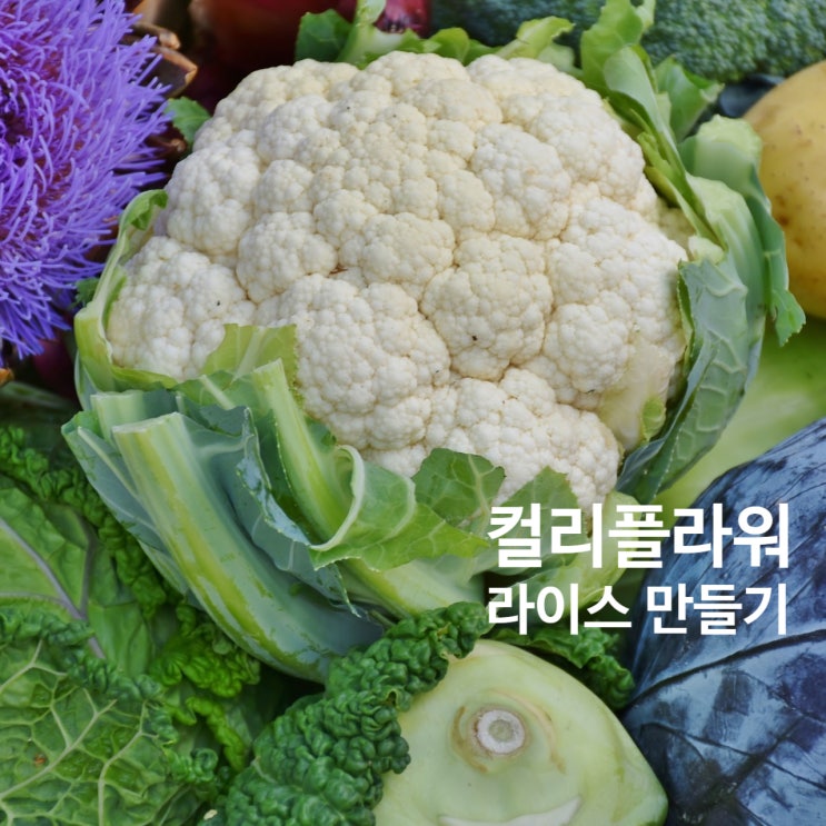  칼로리낮은 컬리플라워라이스 직접 만들기 Try it !