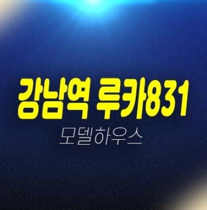 강남역 루카831 역삼동 고급 오피스텔 회사보유분 잔여세대 평형대 투자자,실거주 신축공사 분양가격 주택전시관 현장소식!