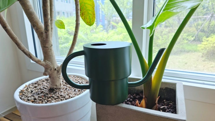 식물 키우기 필수템 아마브로 홈가드닝 물조리개