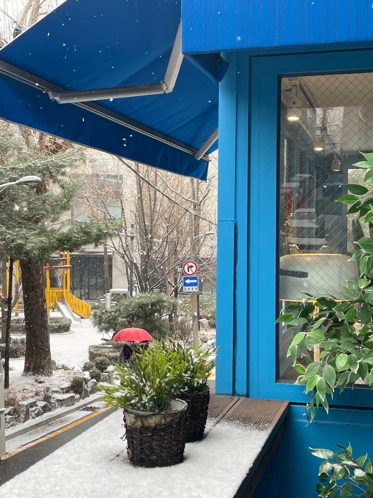 [논현역 카페] 카페인웨더 눈오는날 친환경 유기농 카페