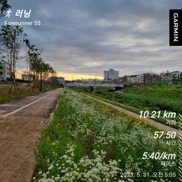 훈련 236부 - 여름이 오고있다. 새벽에 달리자. 5월 러닝 <b>335km</b>!