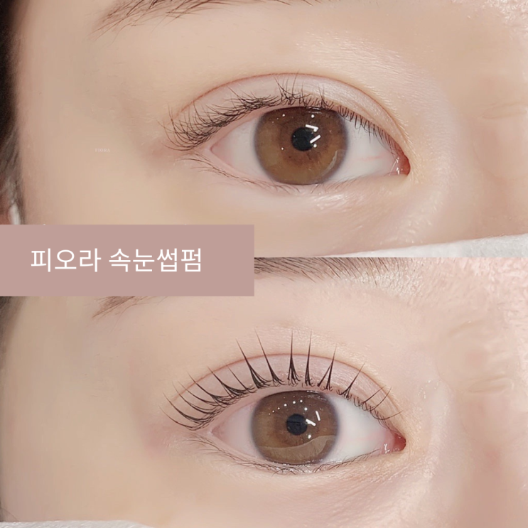  대구속눈썹펌.죽전동.성서.월성동.속눈썹펌잘하는곳