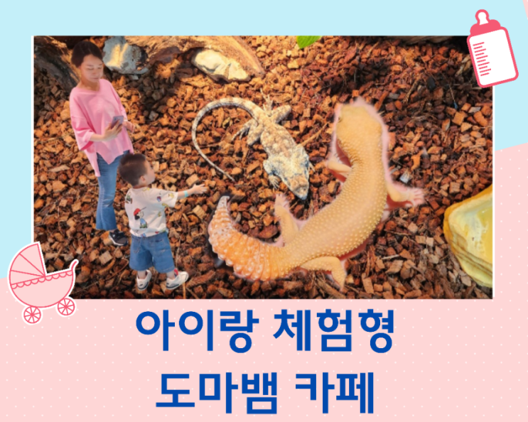  도마뱀 체험이 가능한 수원 판타지움 어푸어푸 테마 카페 다녀왔어요