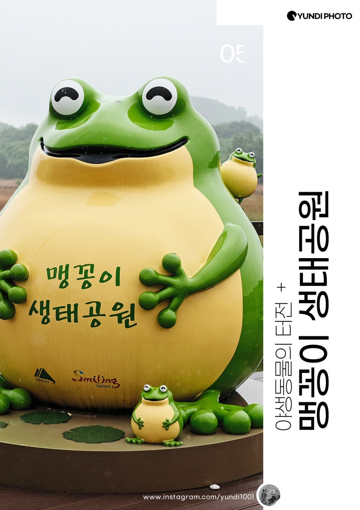 대구달성군 가볼만한곳 대명유수지 달성습지 맹꽁이생태공원 대구달성군 가볼만한곳 대명유수지 달성습지 맹꽁이생태공원