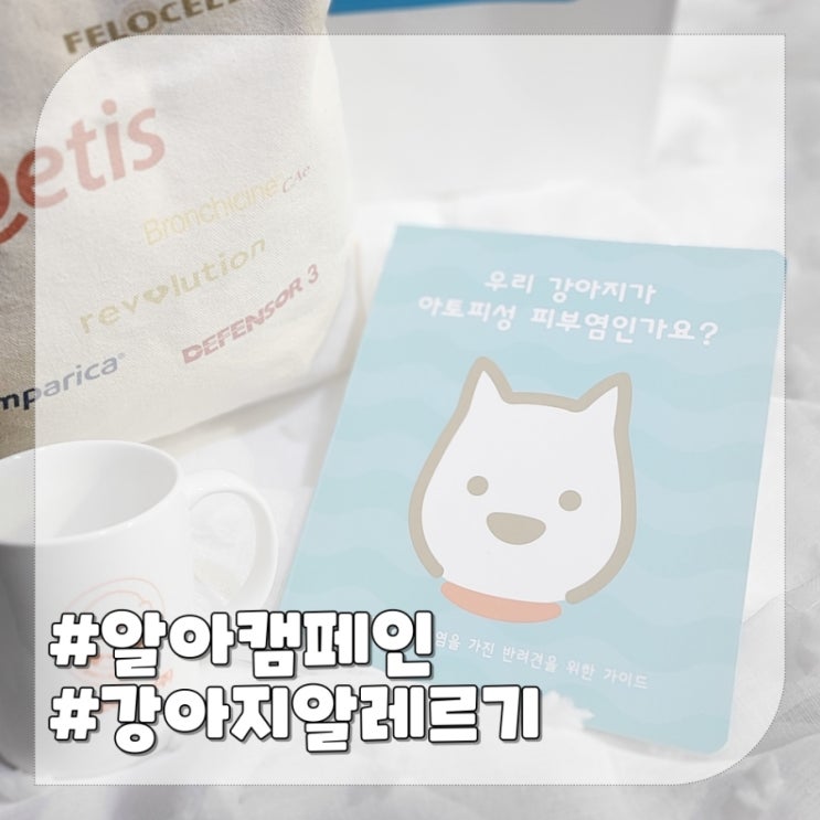  강아지 알레르기 아토피 증상 대처법 알아보았어요