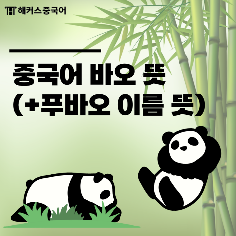 중국어 바오 뜻(+ 푸바오 이름 뜻 아이바오 푸바오 러바오) : 네이버 블로그