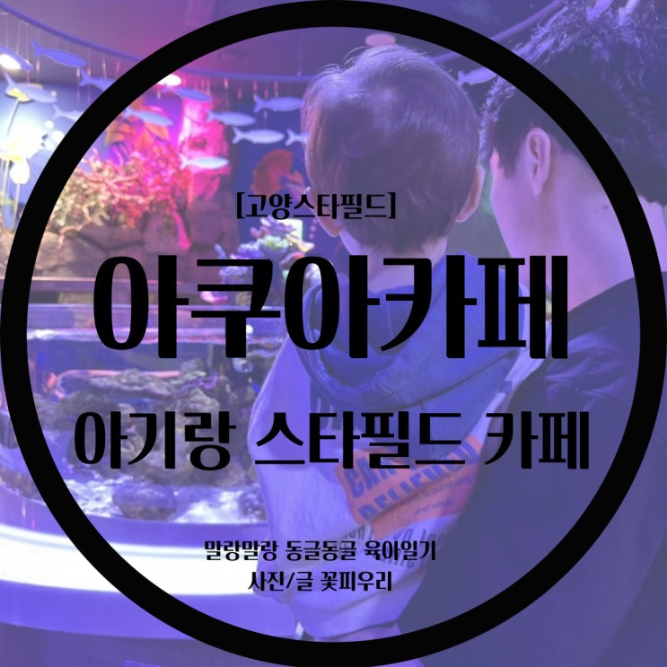  [고양스타필드] 아기랑 가볼만한 곳 / 아쿠아카페 미디어아트 / 수족관카페