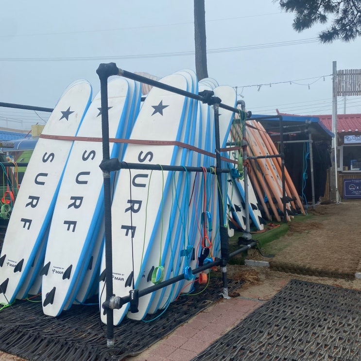  양양 여행 별게스트하우스 추천 게하 파티 후기 서핑 숙소