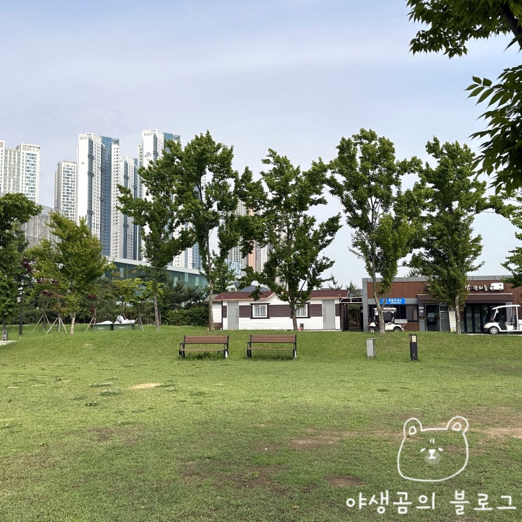  Ep. 19 오랜만에 온 킨텍스캠핑장