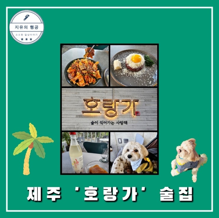  퓨전 술집 호랑가ㅣ제주 서귀포 산방산 맛집 애견 동반 내돈내산