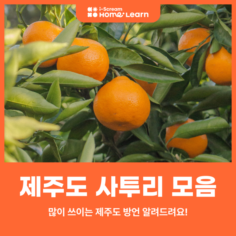 제주도 사투리 모음, 많이 쓰이는 제주도 방언 알려드려요! : 네이버 블로그